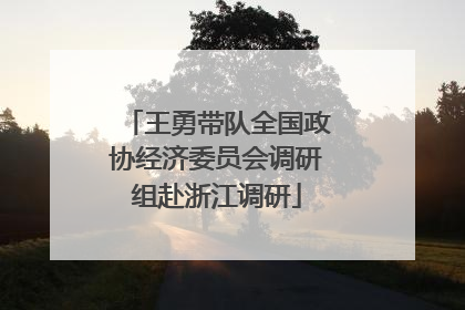 王勇带队全国政协经济委员会调研组赴浙江调研