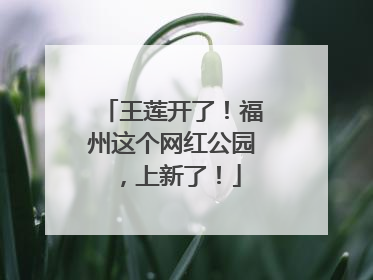 王莲开了！福州这个网红公园，上新了！