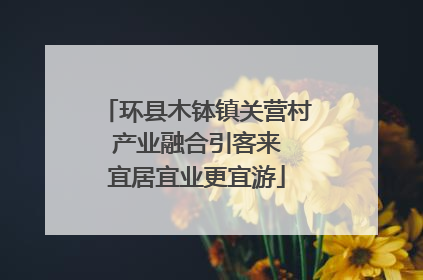 环县木钵镇关营村 产业融合引客来 宜居宜业更宜游