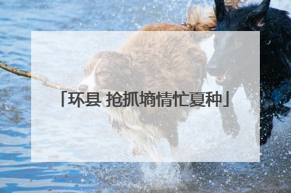 环县 抢抓墒情忙夏种