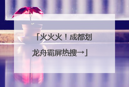 火火火！成都划龙舟霸屏热搜→