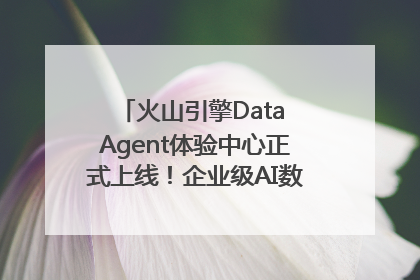 火山引擎Data Agent体验中心正式上线！企业级AI数据专家触手可及