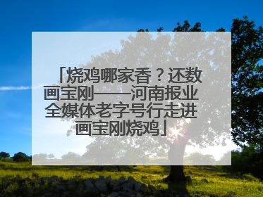 烧鸡哪家香？还数画宝刚——河南报业全媒体老字号行走进画宝刚烧鸡