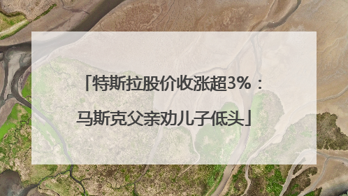 特斯拉股价收涨超3%：马斯克父亲劝儿子低头