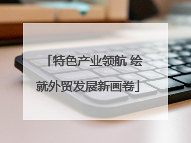 特色产业领航 绘就外贸发展新画卷