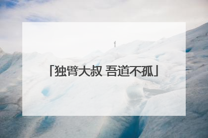 独臂大叔 吾道不孤