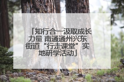 知行合一汲取成长力量 南通通州兴东街道“行走课堂”实地研学活动
