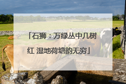 石狮：万绿丛中几树红 湿地荷塘韵无穷