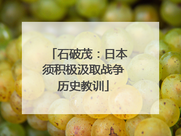 石破茂：日本须积极汲取战争历史教训