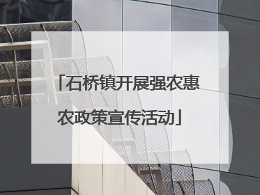 石桥镇开展强农惠农政策宣传活动
