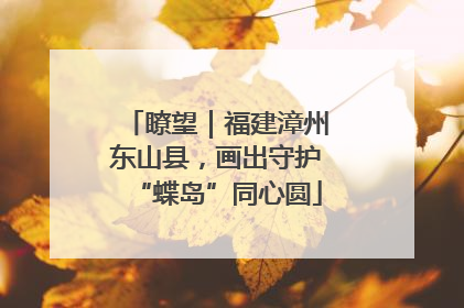 瞭望｜福建漳州东山县，画出守护“蝶岛”同心圆