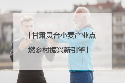 甘肃灵台小麦产业点燃乡村振兴新引擎