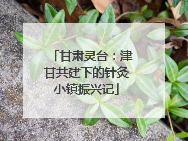 甘肃灵台：津甘共建下的针灸小镇振兴记