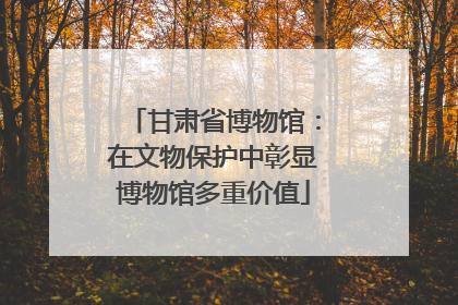 甘肃省博物馆：在文物保护中彰显博物馆多重价值