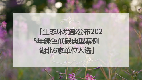 生态环境部公布2025年绿色低碳典型案例 湖北6家单位入选