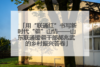 用“联通红”书写新时代“疆”山情——山东联通援疆干部郝兆武的乡村振兴答卷