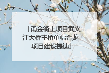 甬金衢上项目武义江大桥主桥单幅合龙 项目建设提速