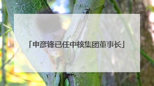 申彦锋已任中核集团董事长