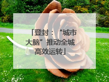 登封：“城市大脑”推动全城高效运转