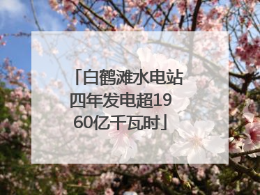 白鹤滩水电站四年发电超1960亿千瓦时