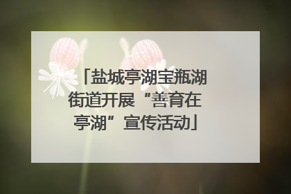 盐城亭湖宝瓶湖街道开展“善育在亭湖”宣传活动