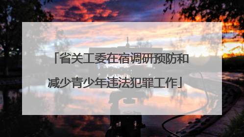 省关工委在宿调研预防和减少青少年违法犯罪工作