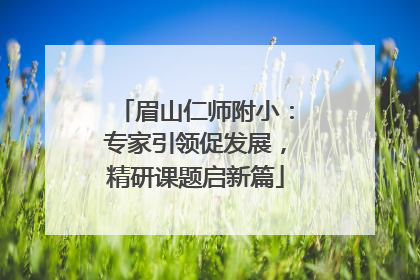 眉山仁师附小：专家引领促发展，精研课题启新篇