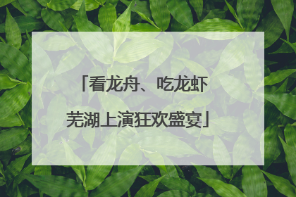 看龙舟、吃龙虾 芜湖上演狂欢盛宴