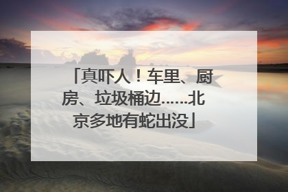真吓人！车里、厨房、垃圾桶边……北京多地有蛇出没