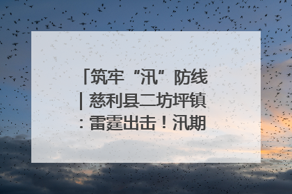 筑牢“汛”防线｜慈利县二坊坪镇：雷霆出击！汛期捕鱼被紧急叫停