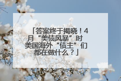 答案终于揭晓！4月“美债风暴”时 美国海外“债主”们都在做什么？