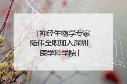 神经生物学专家陆伟全职加入深圳医学科学院