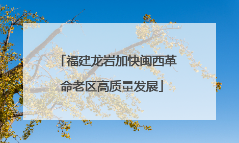 福建龙岩加快闽西革命老区高质量发展