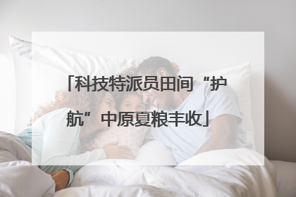 科技特派员田间“护航”中原夏粮丰收