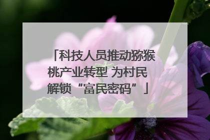 科技人员推动猕猴桃产业转型 为村民解锁“富民密码”