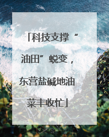 科技支撑“油田”蜕变，东营盐碱地油菜丰收忙