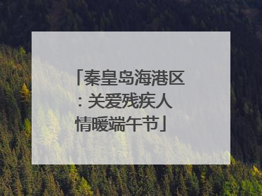 秦皇岛海港区：关爱残疾人 情暖端午节