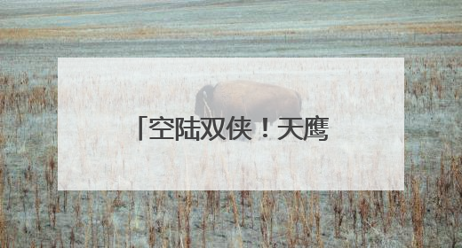 空陆双侠！天鹰车载无人机携手猛士M817登陆粤港澳大湾区车展
