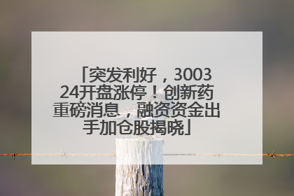 突发利好，300324开盘涨停！创新药重磅消息，融资资金出手加仓股揭晓