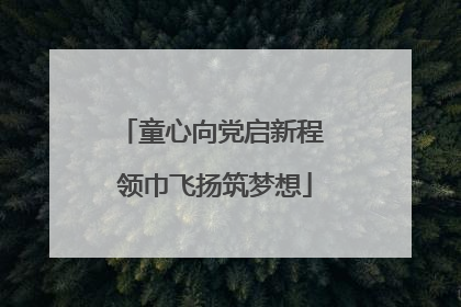 童心向党启新程 领巾飞扬筑梦想