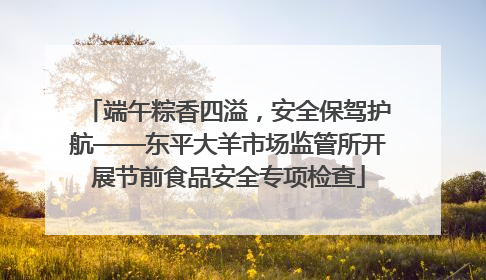 端午粽香四溢，安全保驾护航——东平大羊市场监管所开展节前食品安全专项检查