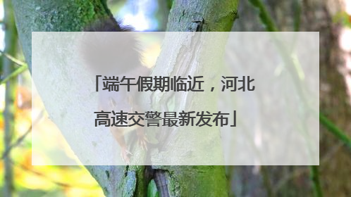 端午假期临近，河北高速交警最新发布