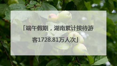 端午假期，湖南累计接待游客1728.81万人次