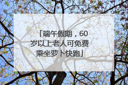 端午假期，60岁以上老人可免费乘坐萝卜快跑