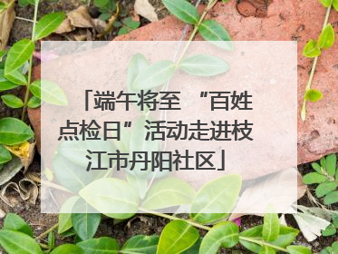 端午将至 “百姓点检日”活动走进枝江市丹阳社区
