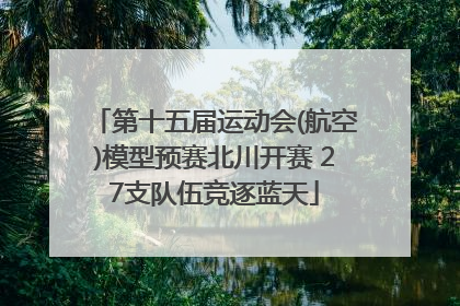 第十五届运动会(航空)模型预赛北川开赛 27支队伍竞逐蓝天