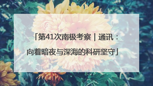 第41次南极考察｜通讯：向着暗夜与深海的科研坚守