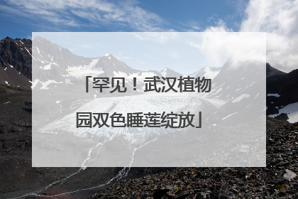 罕见！武汉植物园双色睡莲绽放