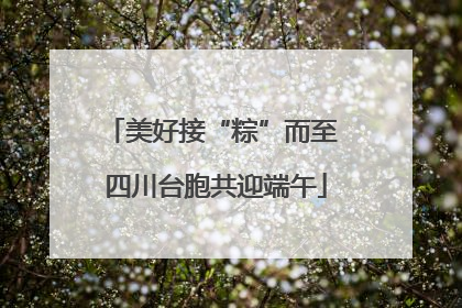 美好接“粽”而至 四川台胞共迎端午