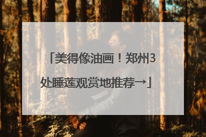 美得像油画！郑州3处睡莲观赏地推荐→